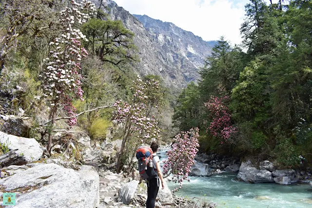 Trekking Valle del Langtang, Nepal