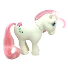 My Little Pony Alternate Birthflower Ponies G1 Ponies