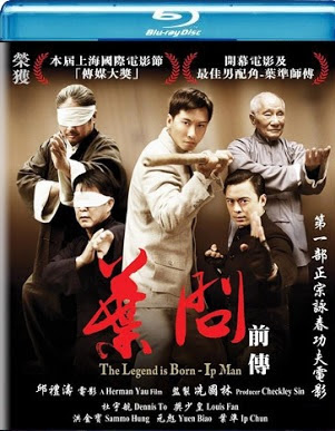 The Legend Is Born: Ip Man (2010) Dual Audio [Hindi – Chinese] 720p | 480p BluRay ESub x264 800Mb | 300Mb