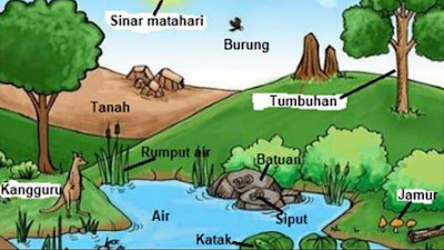 lingkungan hidup komponen ekosistem alam dan manusia