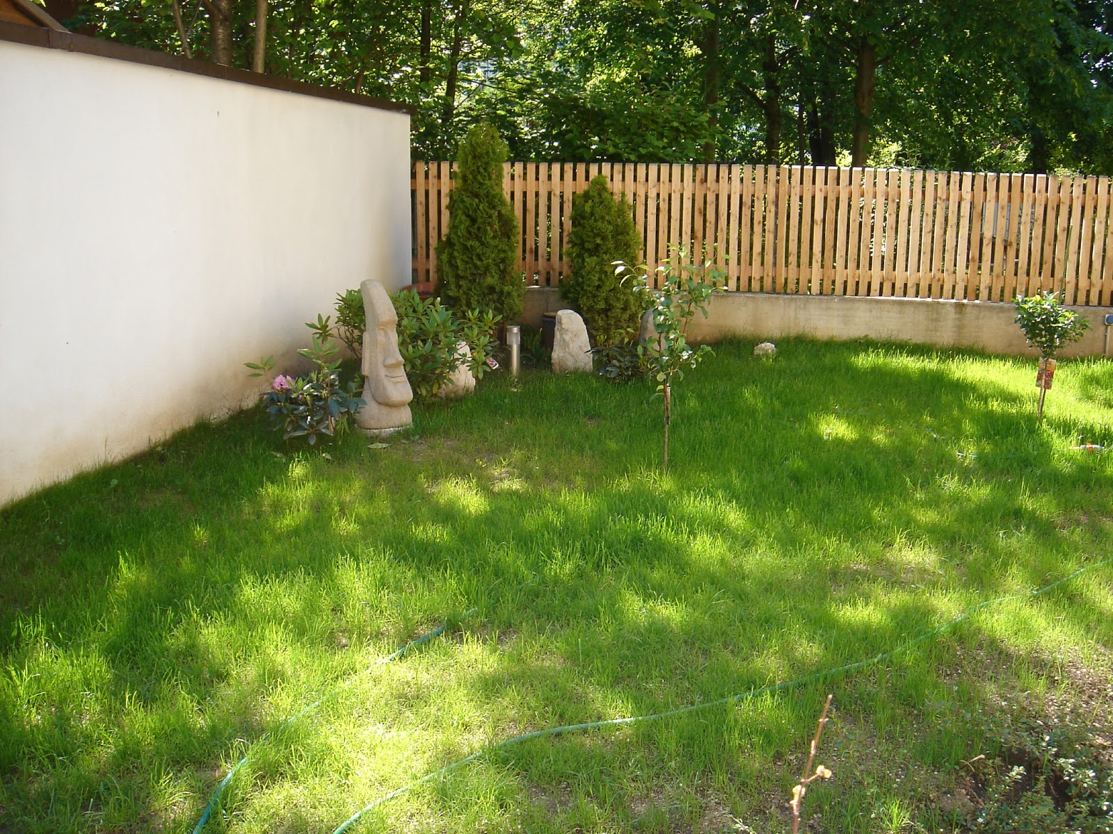 Gartenentwicklung: Garten Juni 2006