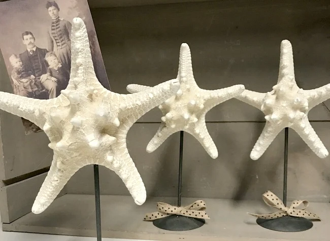 DIY photo display using starfish