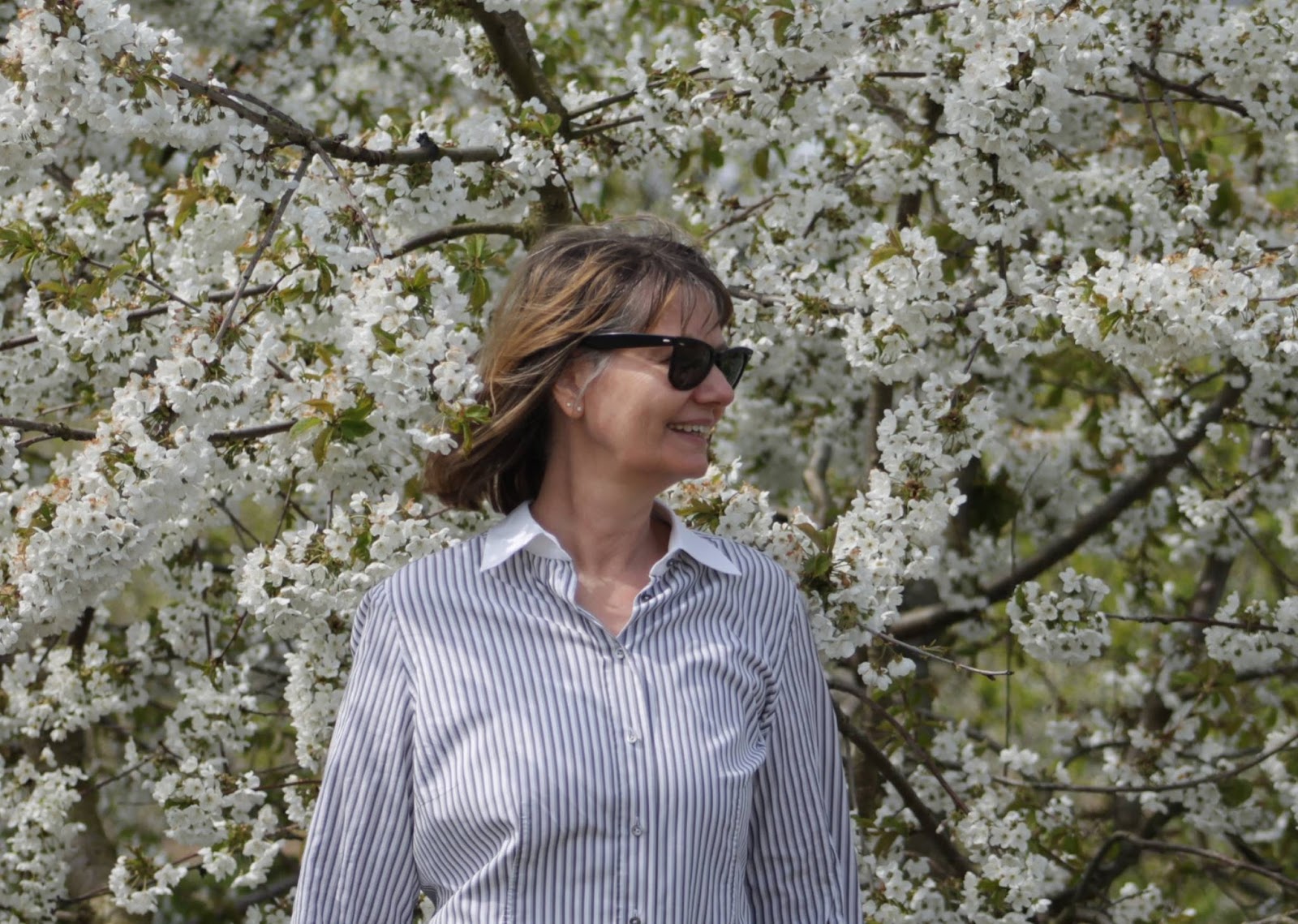 U50 Blutenpost Und Ausflugstipps Fur Freunde Und Familie U50