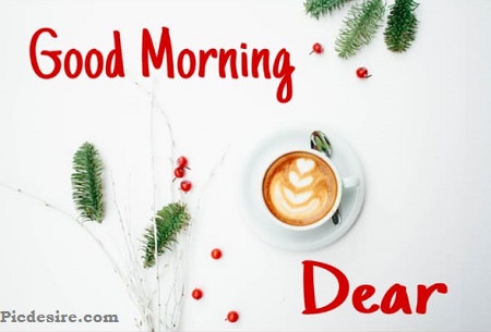Good Morning Dear | 30 Good Morning My Dear Images Good Morning Dear | 30 Good Morning My Dear Images