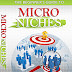 The Beginner’s Guide To Micro Niches