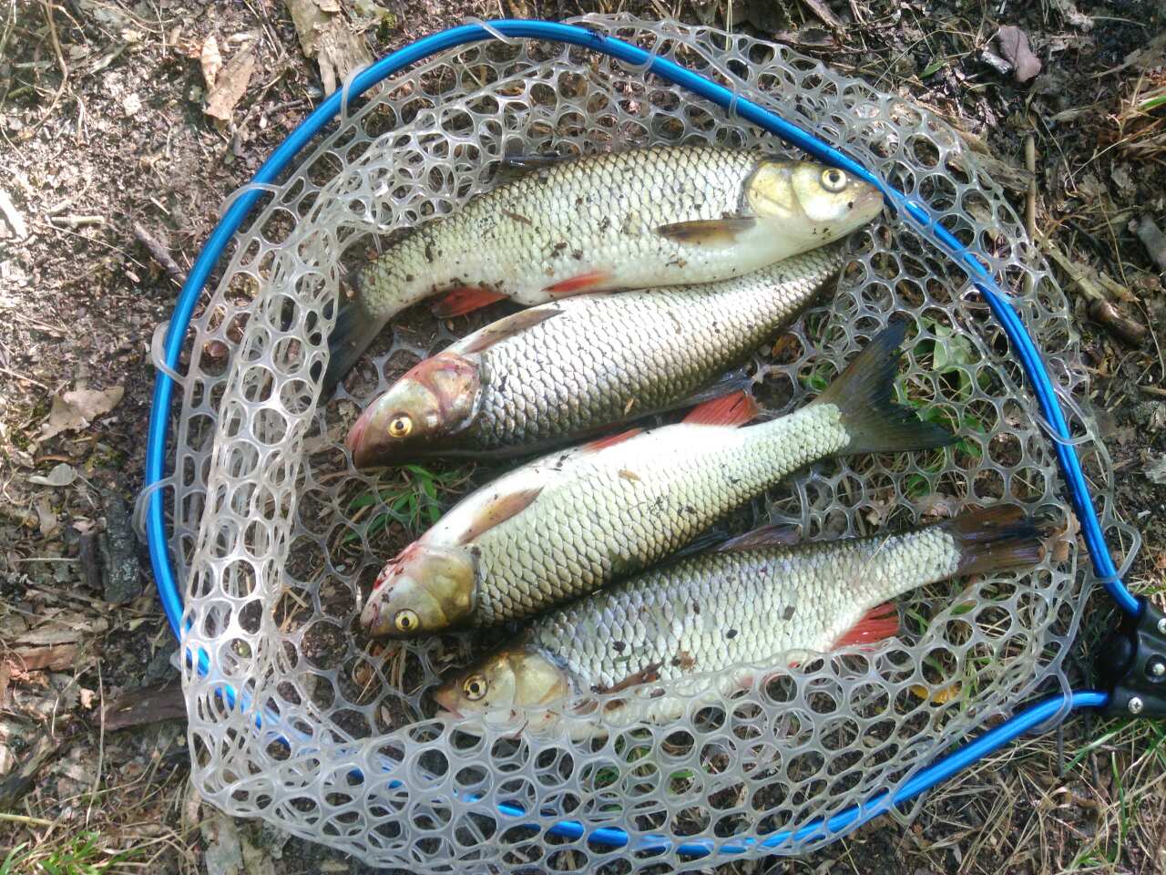 Ждем клева. Новости а не отчеты рыбалка. Зимняя рыбалка с друзьями. Ловля налима. Новости а не отчеты рыбалка.