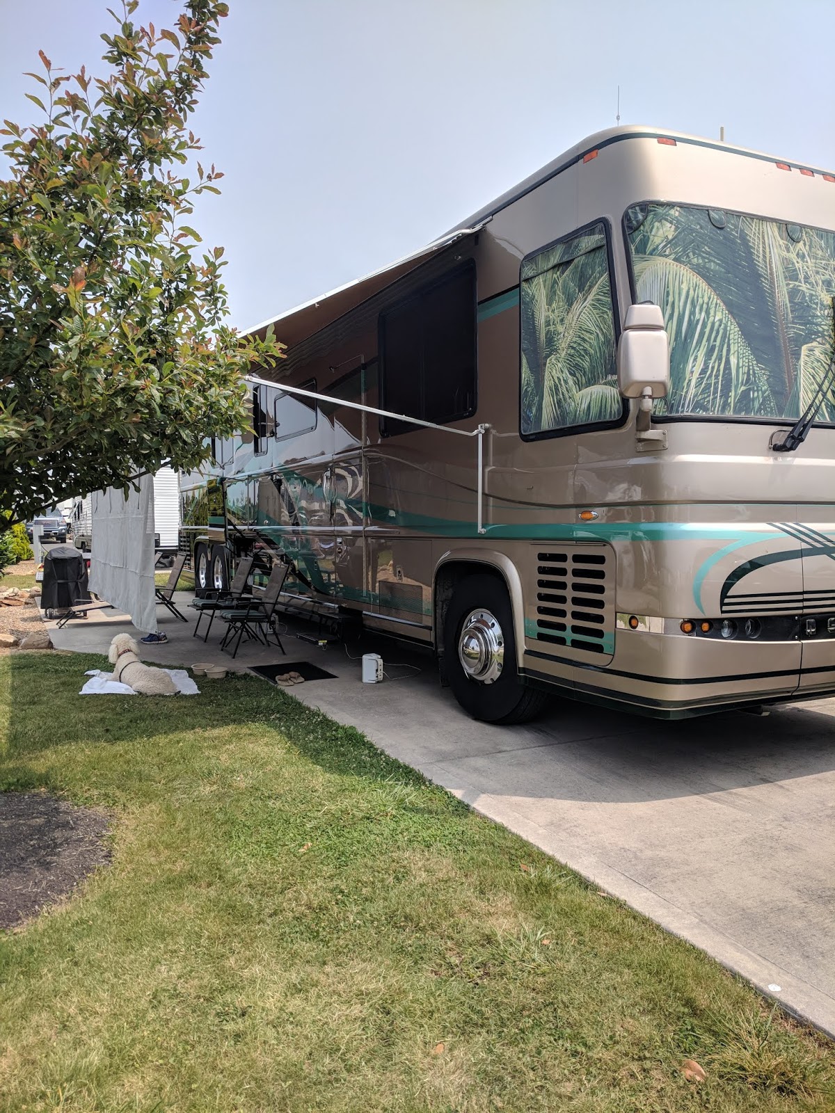 Rick's Picks Anchor Down RV Resort, Dandridge, TN