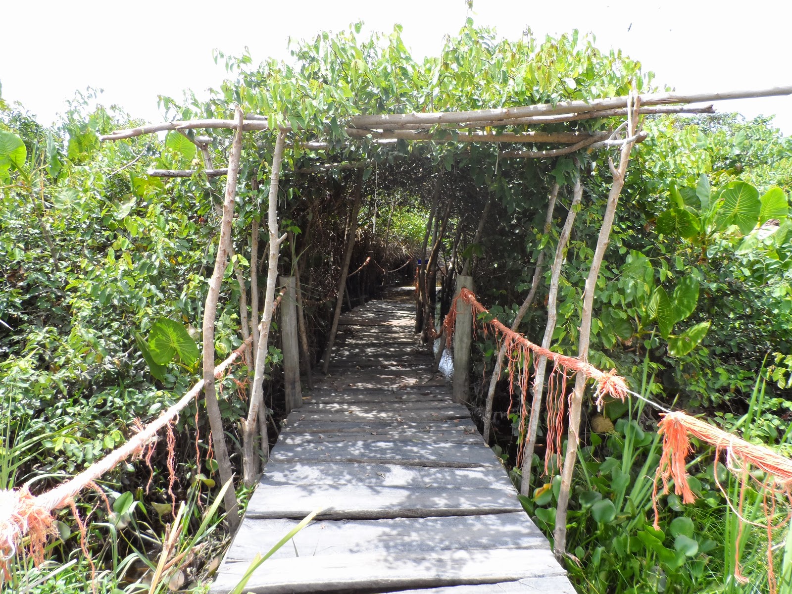 Conceição da Barra - ES - Brasil: ITAÚNAS - Trilha do Tamandaré