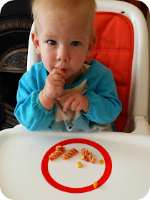 baby led weaning high chair, fisher price evolve