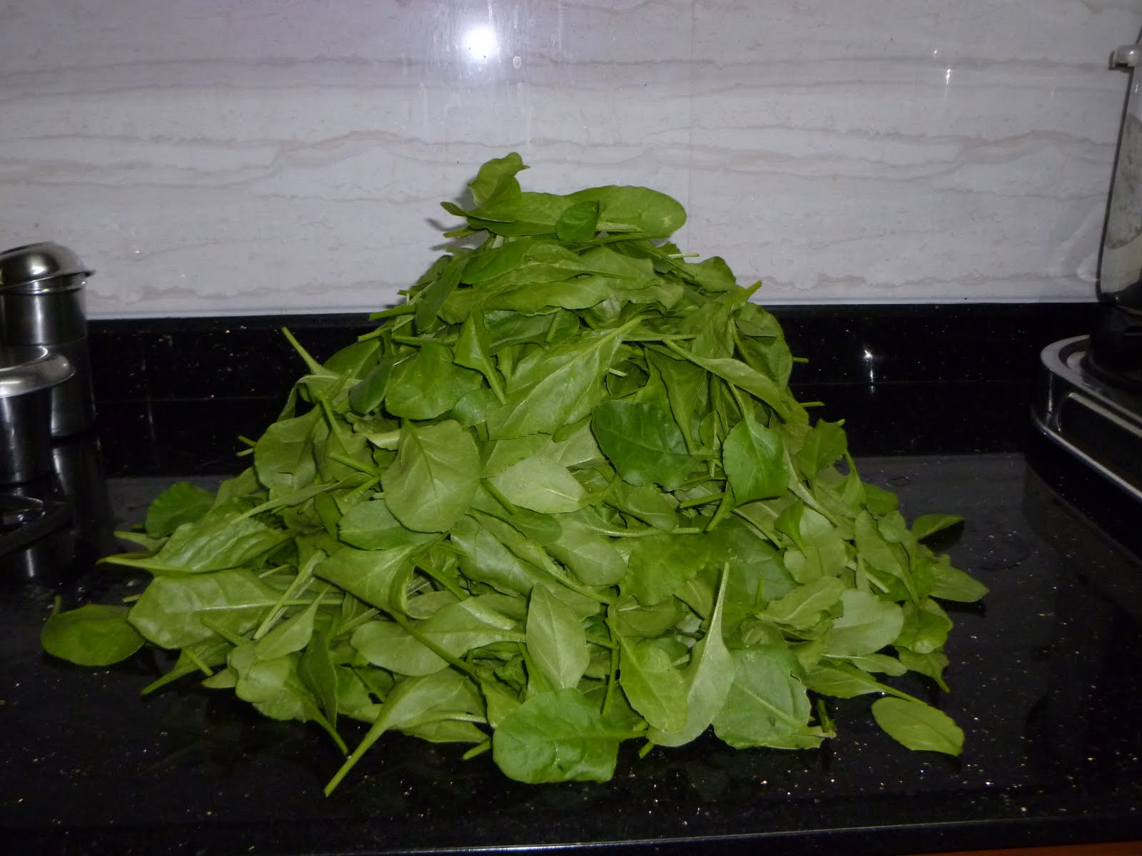 Home Kitchen Gardening: Palak Harvested