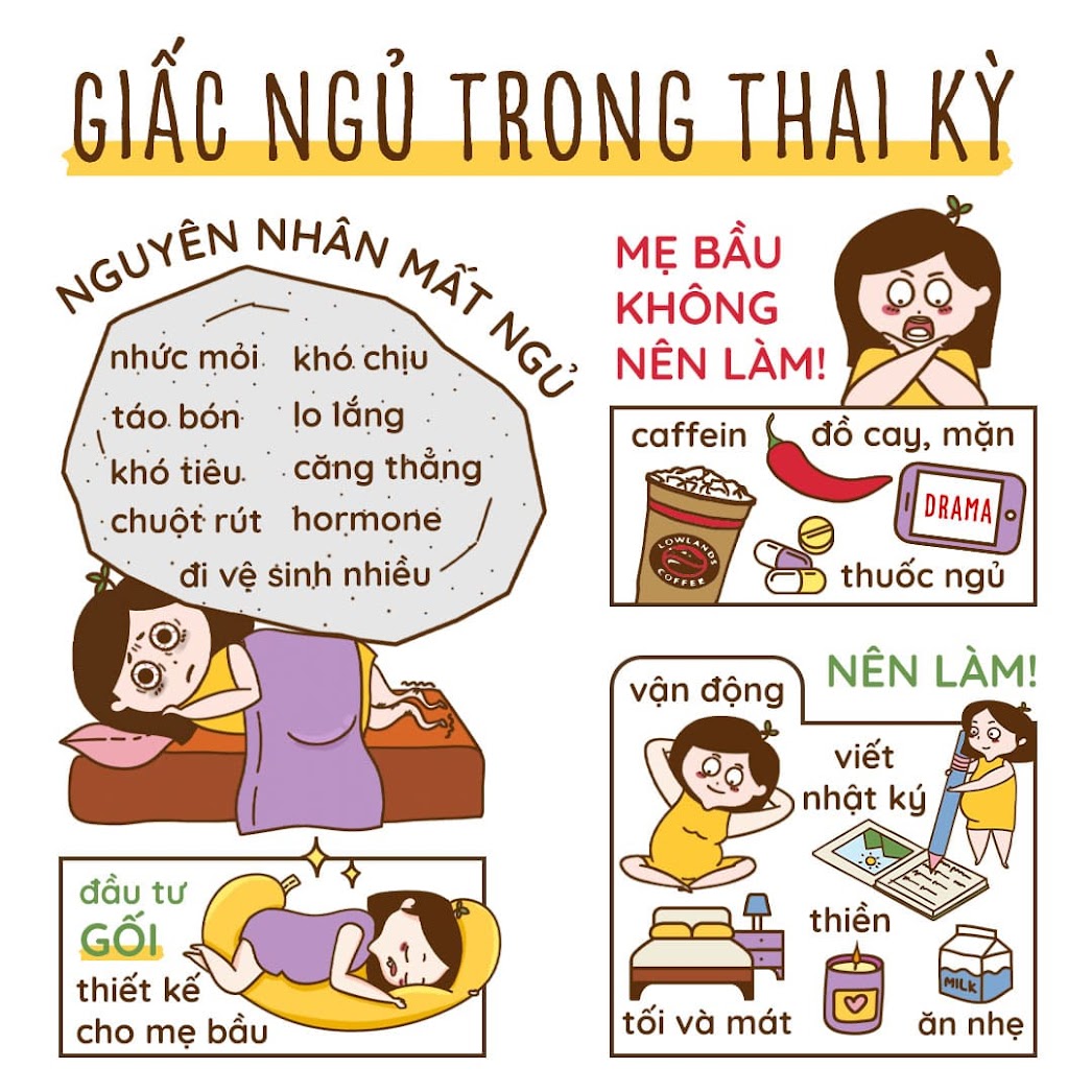 [A159] So sánh gối bà bầu Đậu Khuyết tốt nhất trên thị trường