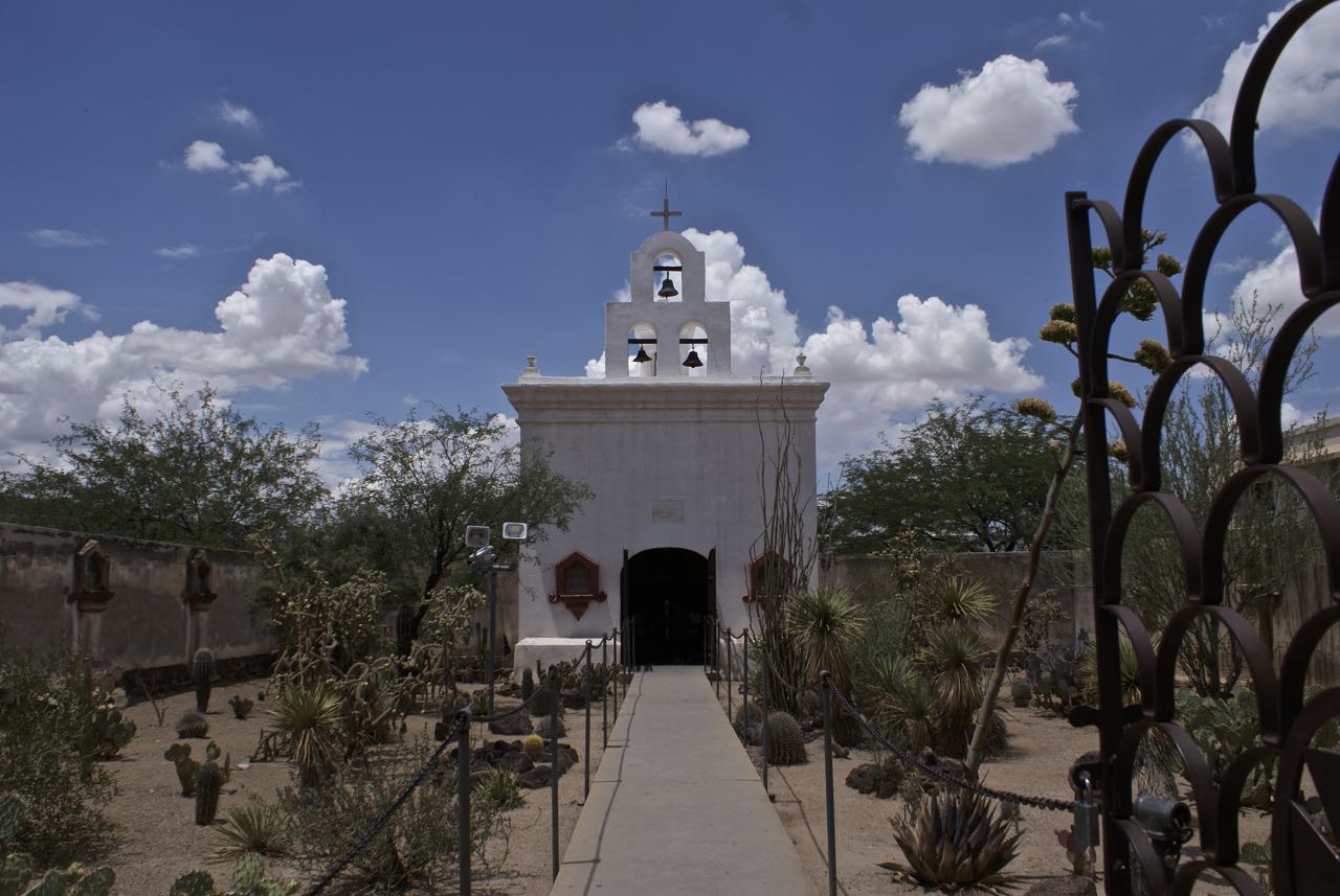 Sharon's Sojourns White Dove of the Desert