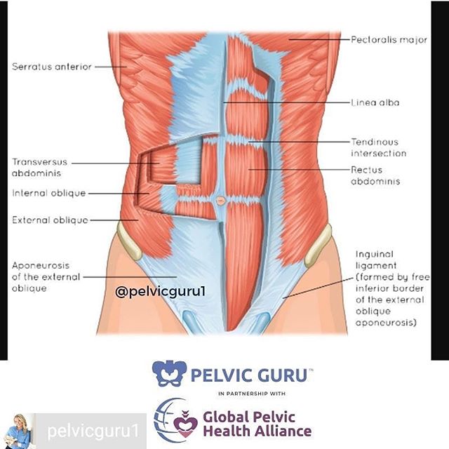 Robin Angus Physical Therapy Blog 2017
