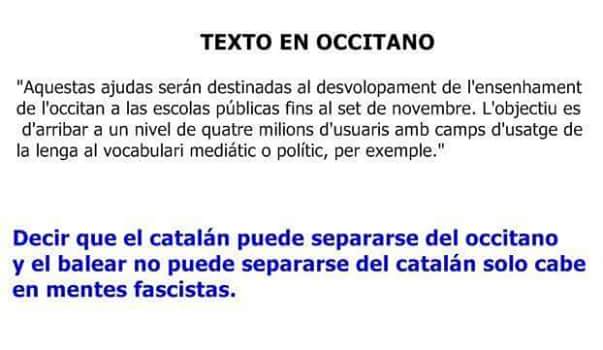 Aquestas ajudas serán destinadas al desvolopament de l'ensenhament de l'occitan a las escolas públicas fins al set de novembre. L'objectiu es d'arribar a un nivel de quatre millons d'usuaris amb camps d'usatge de la lenga al vocabulari mediátic o polític, per exemple.