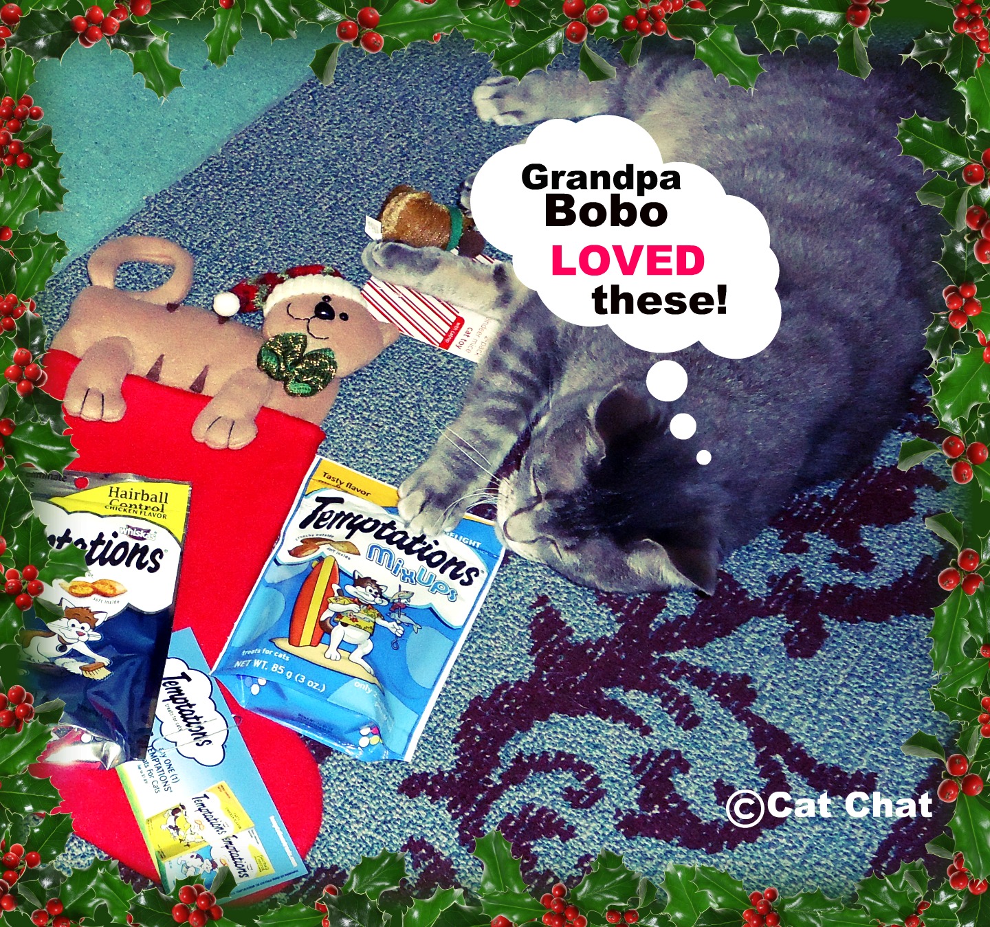 Cat and DOG Chat With Caren HoHoHo! Treat YOUR Cat with TEMPTATIONS