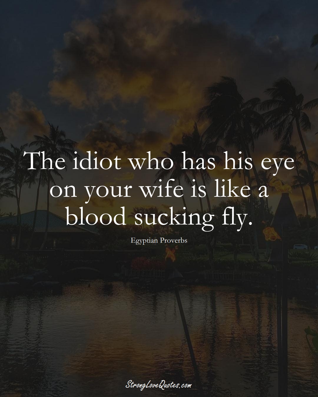 The idiot who has his eye on your wife is like a blood sucking fly. (Egyptian Sayings);  #MiddleEasternSayings