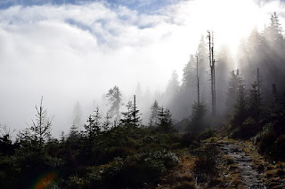 Masyw Śnieżnika 17-19.11.2020