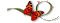 transpa%2B%2B.21112533xWU2uOtS.gif