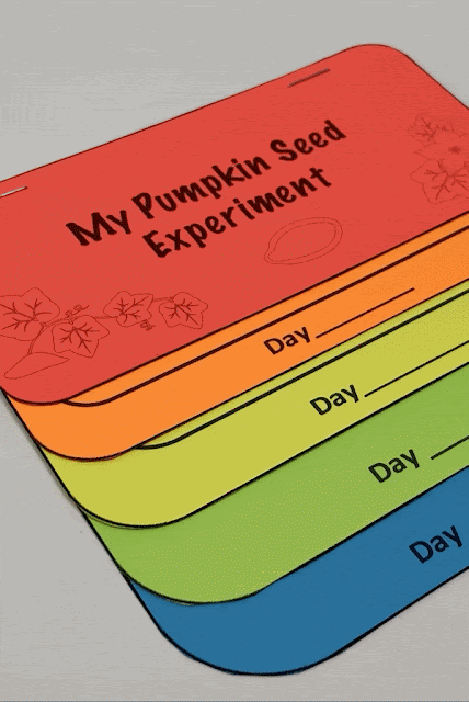 flip book on seed experiment