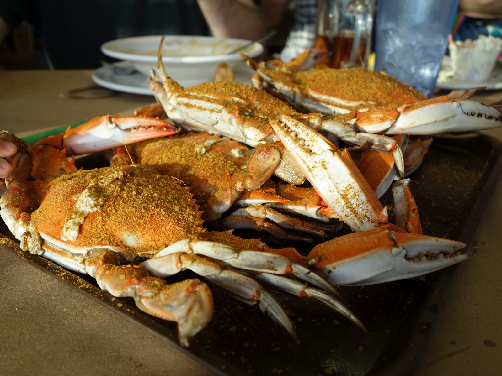 Fresh Local and Best End of Summer at Lewes and Rehoboth Beach, DE