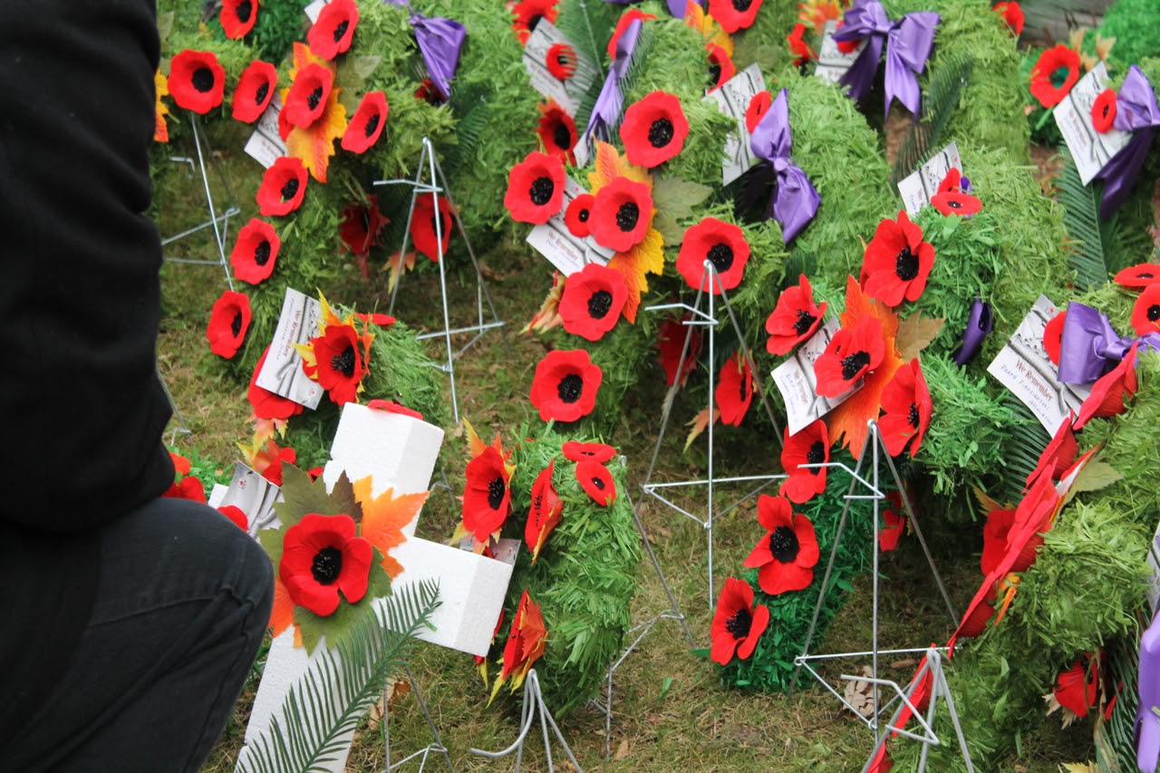 Reflections from Crumbly Acres Remembrance Day in Canada