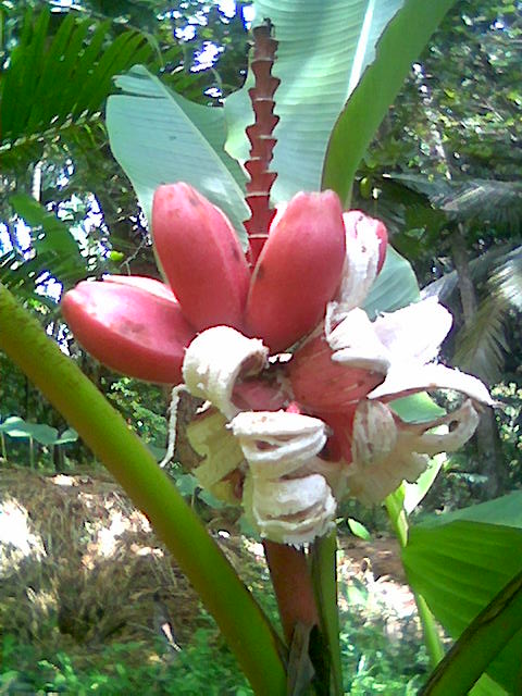 ATT00003.jpe