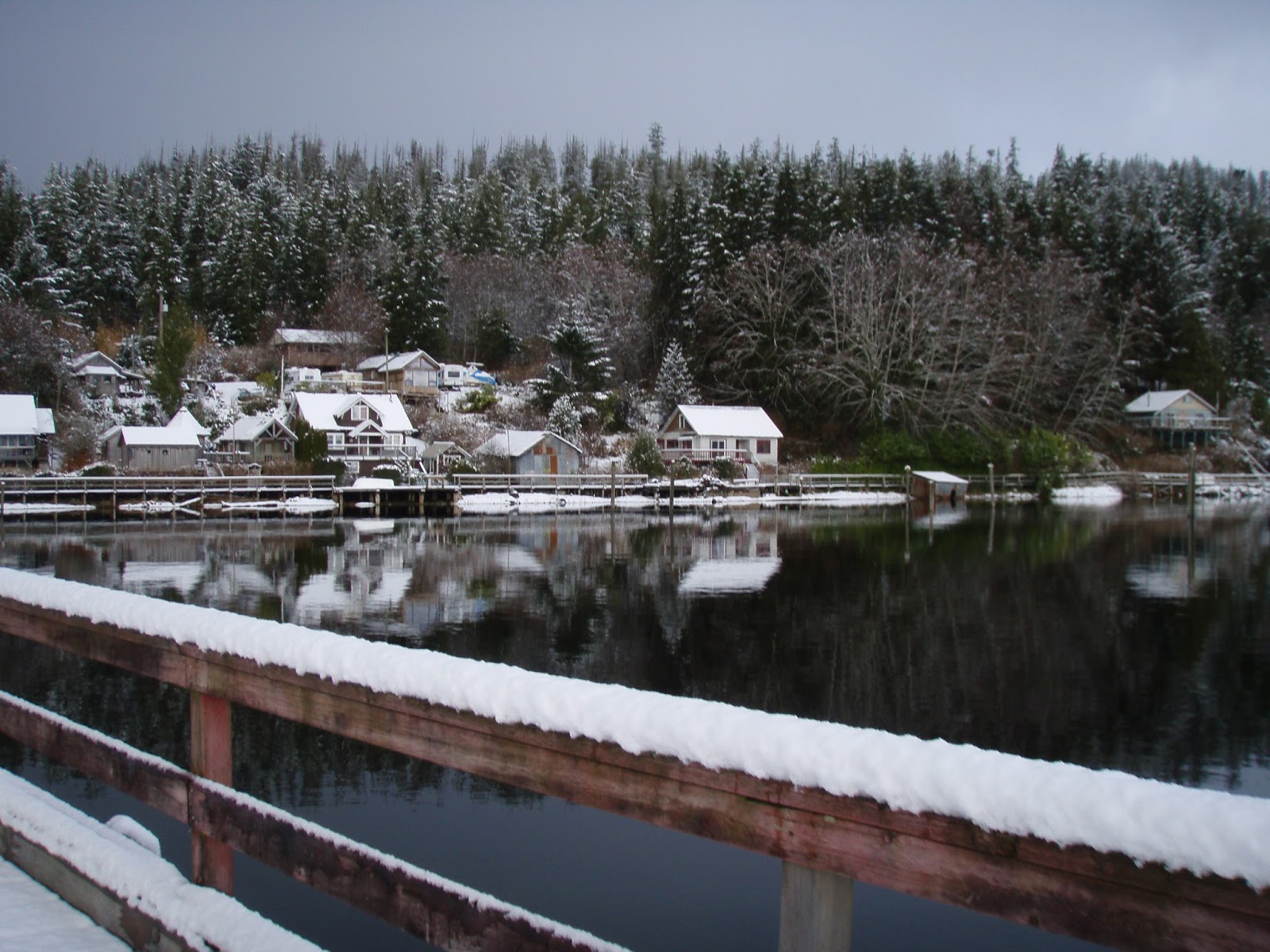 BC Oceanfront BCO Coastal Gem Winter Harbour