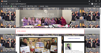 tampilan website sms penipuan ms glow
