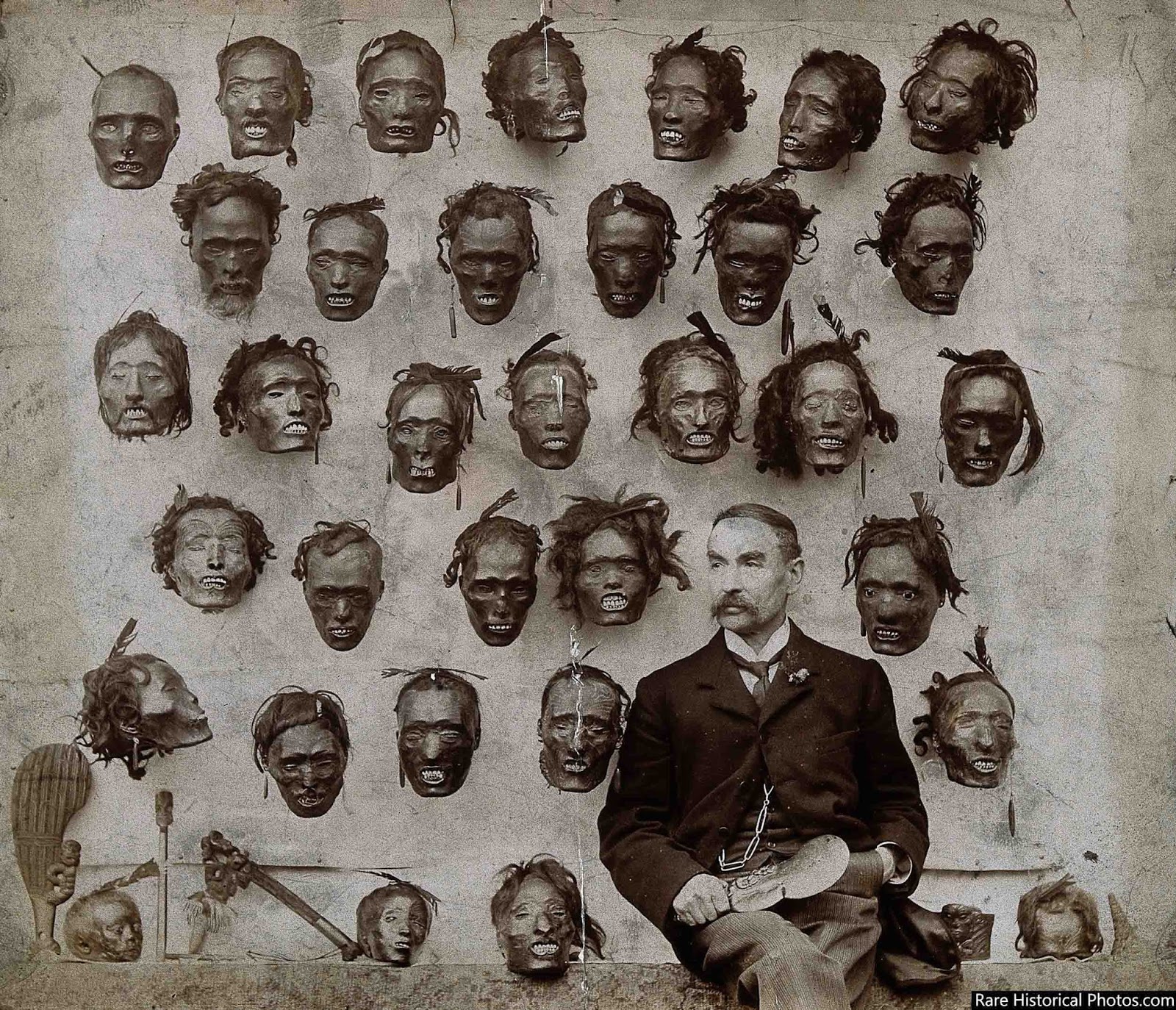 Horatio_Gordon_Robley%2B_collection_tattooed_Maori_heads.jpg