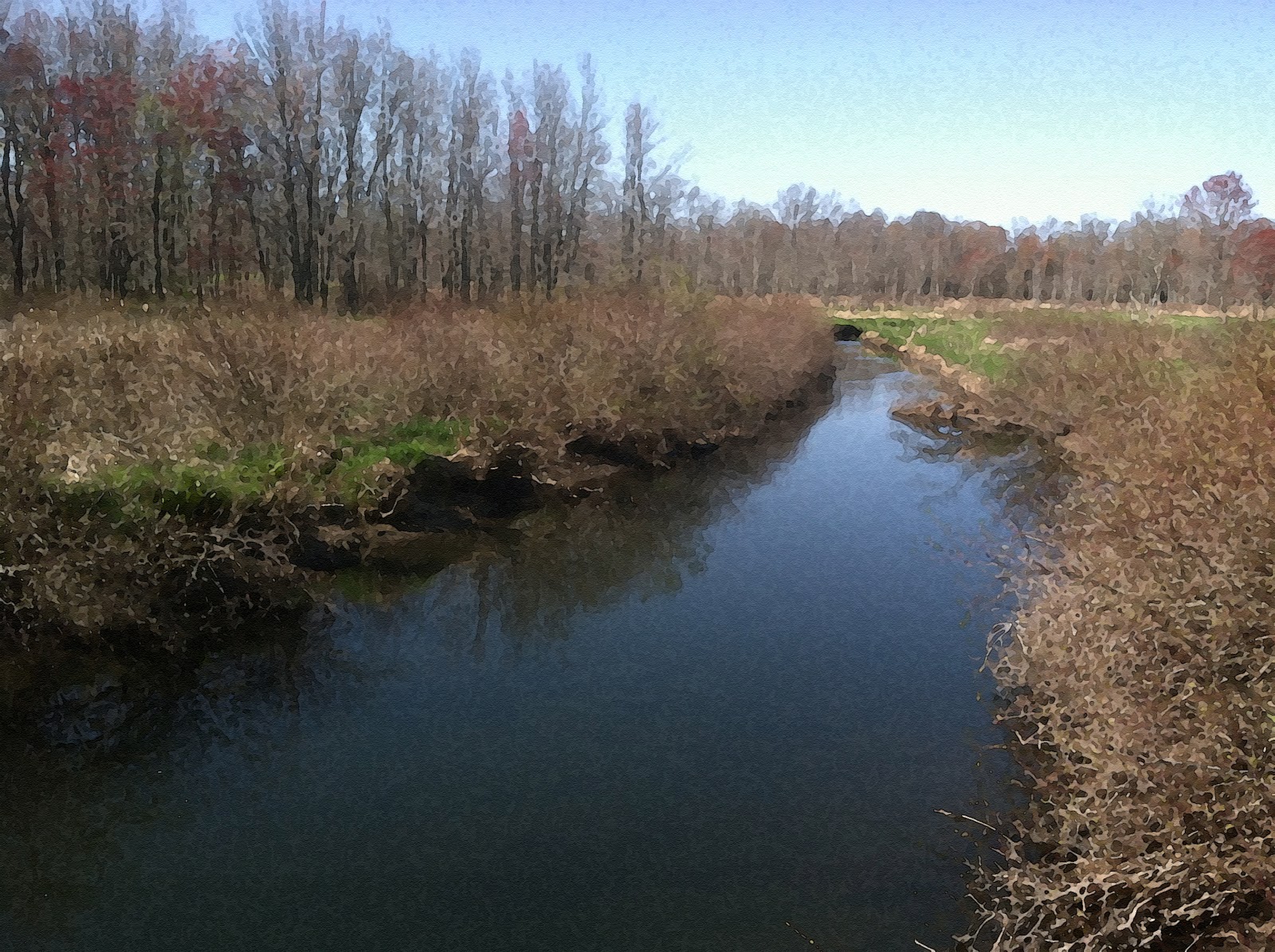 The Orangerie Black Creek 5