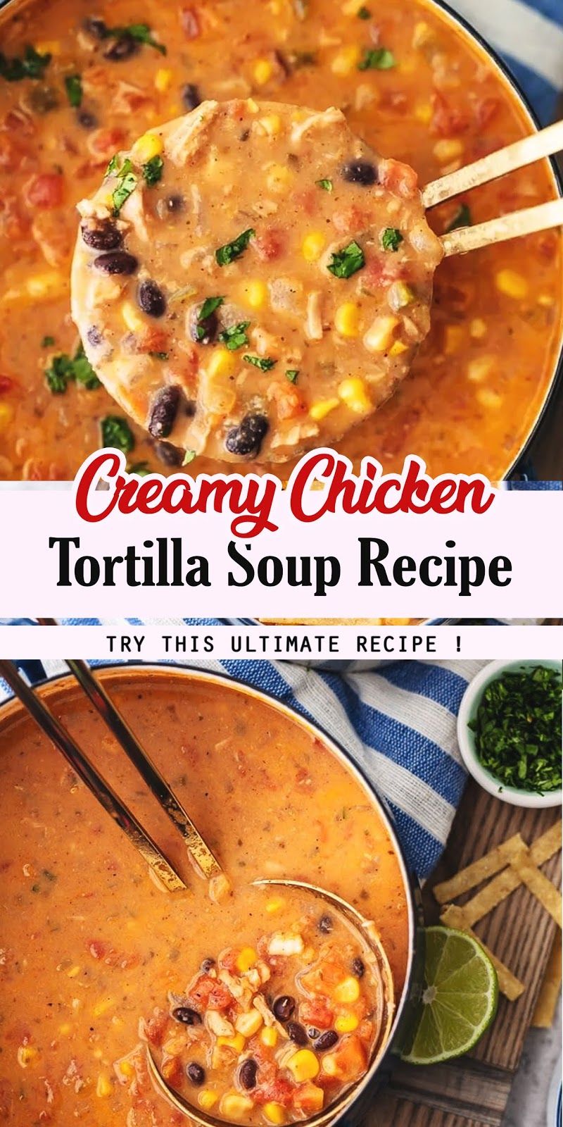 CREAMY CHICKEN TORTILLA SOUP RECIPE - 3 SECONDS