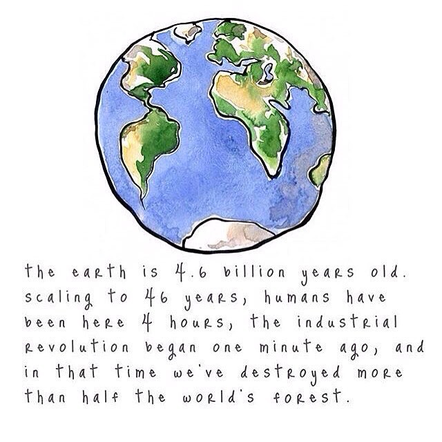 Hanna's Lights Where has all the green gone? worldwidefacts