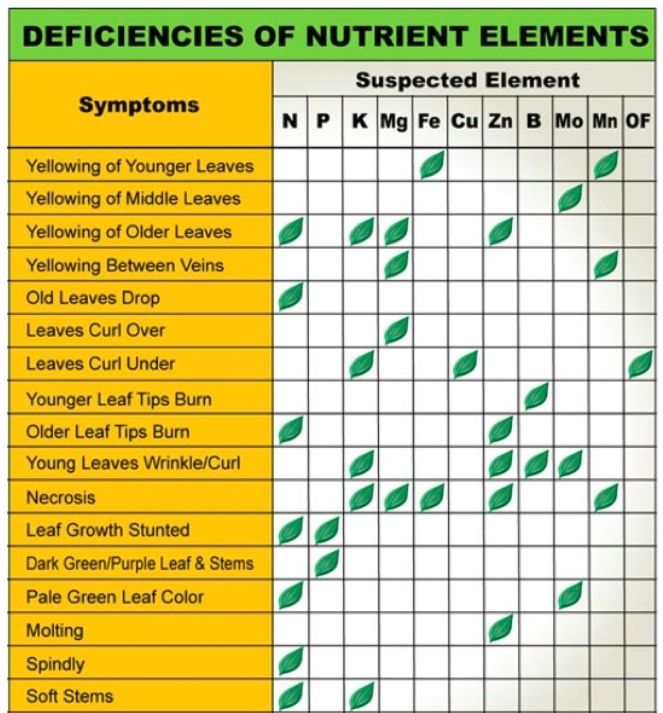 Plant Nutrient Deficiency Leaf Illustrations and Charts Reference Guide
