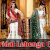 Indian Bridal Lehengas 2013-2014 | Wedding Occasion Bridal Lehenga | Embroidered Bridal Fish Cut Lehenga