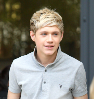 Online Wallpapers Shop: Free Niall Horan Pictures & Photos