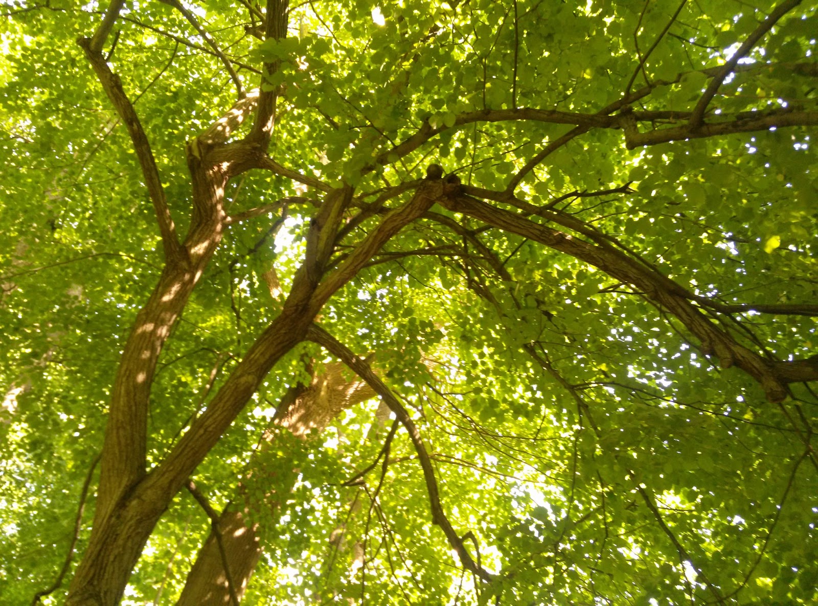 Man of Merit Hiking Planning seven hikes in Eastern Pennsylvania