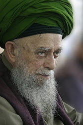 Syeikh Nazim al-Haqqani
