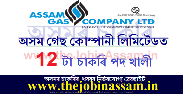The Assam Gas Company Limited Recruitment 2021 The Assam Gas Company Limited Recruitment 2021