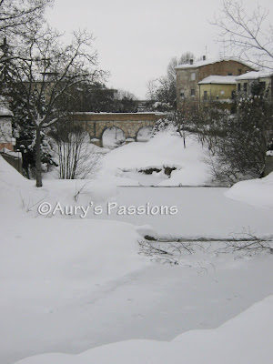 Savignano neve