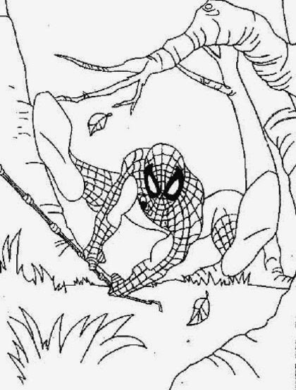 malvorlagen spiderman