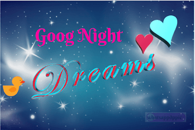 good-night-shayari-with-photo good-night-love-images-for-friend