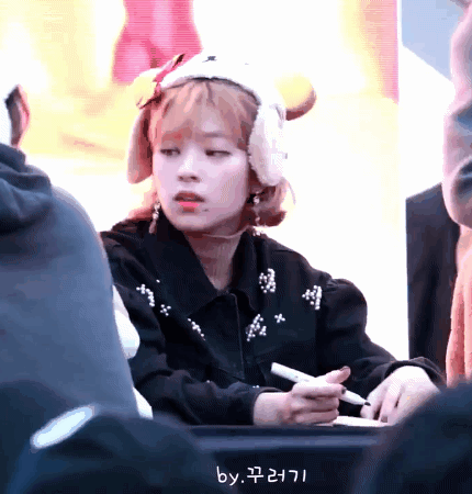 리트리버와 시바견 정연 사나 II