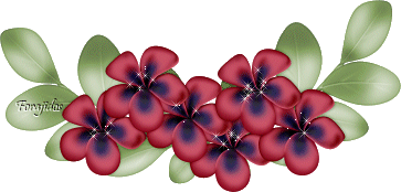 image.gif