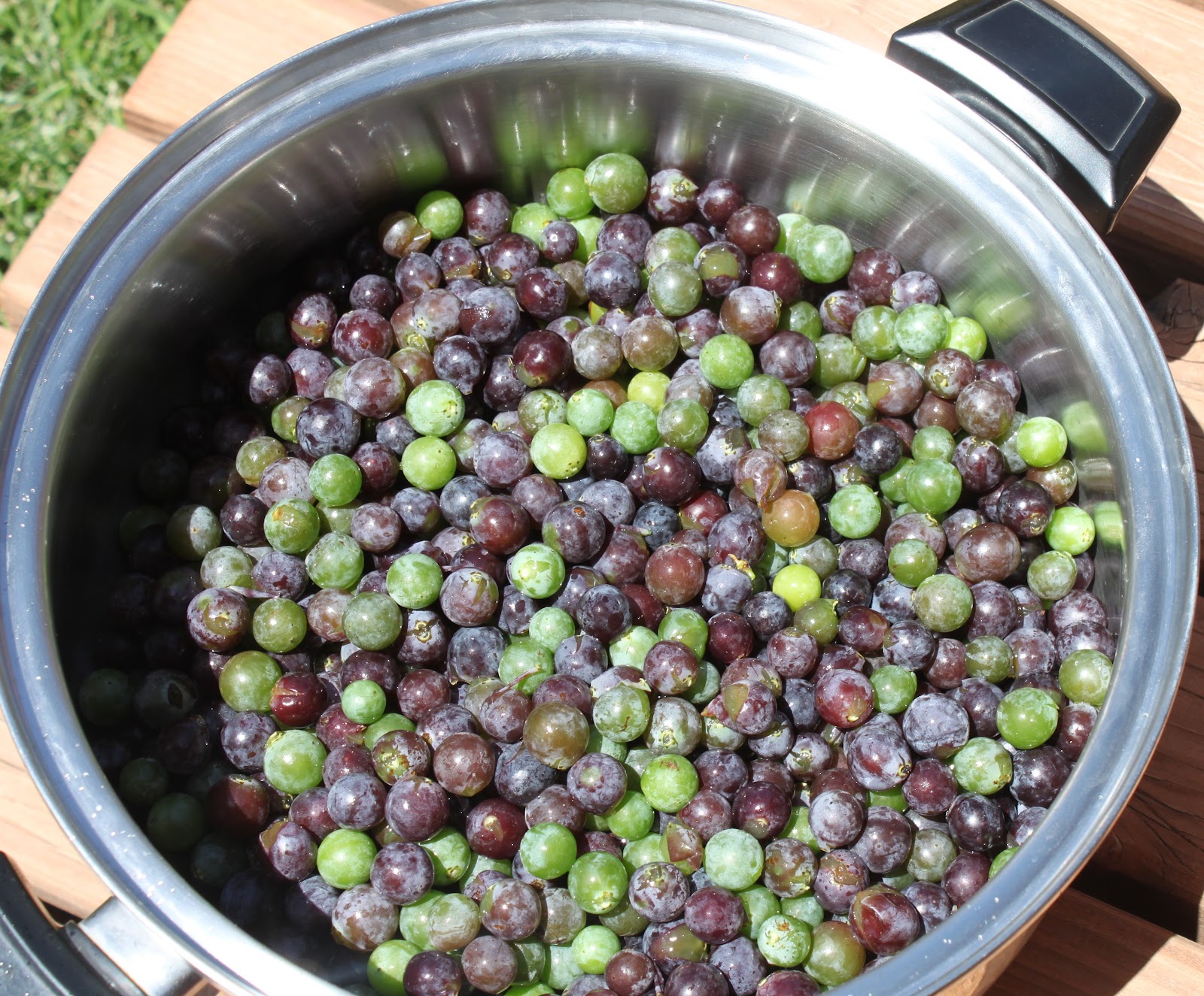 Baby Boo Berry Grapes and Jelly!
