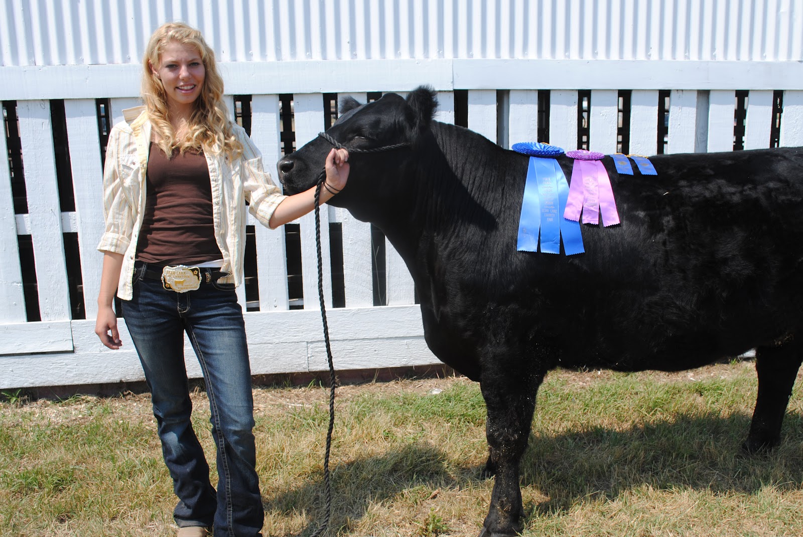 2012 Third Place Market Steer