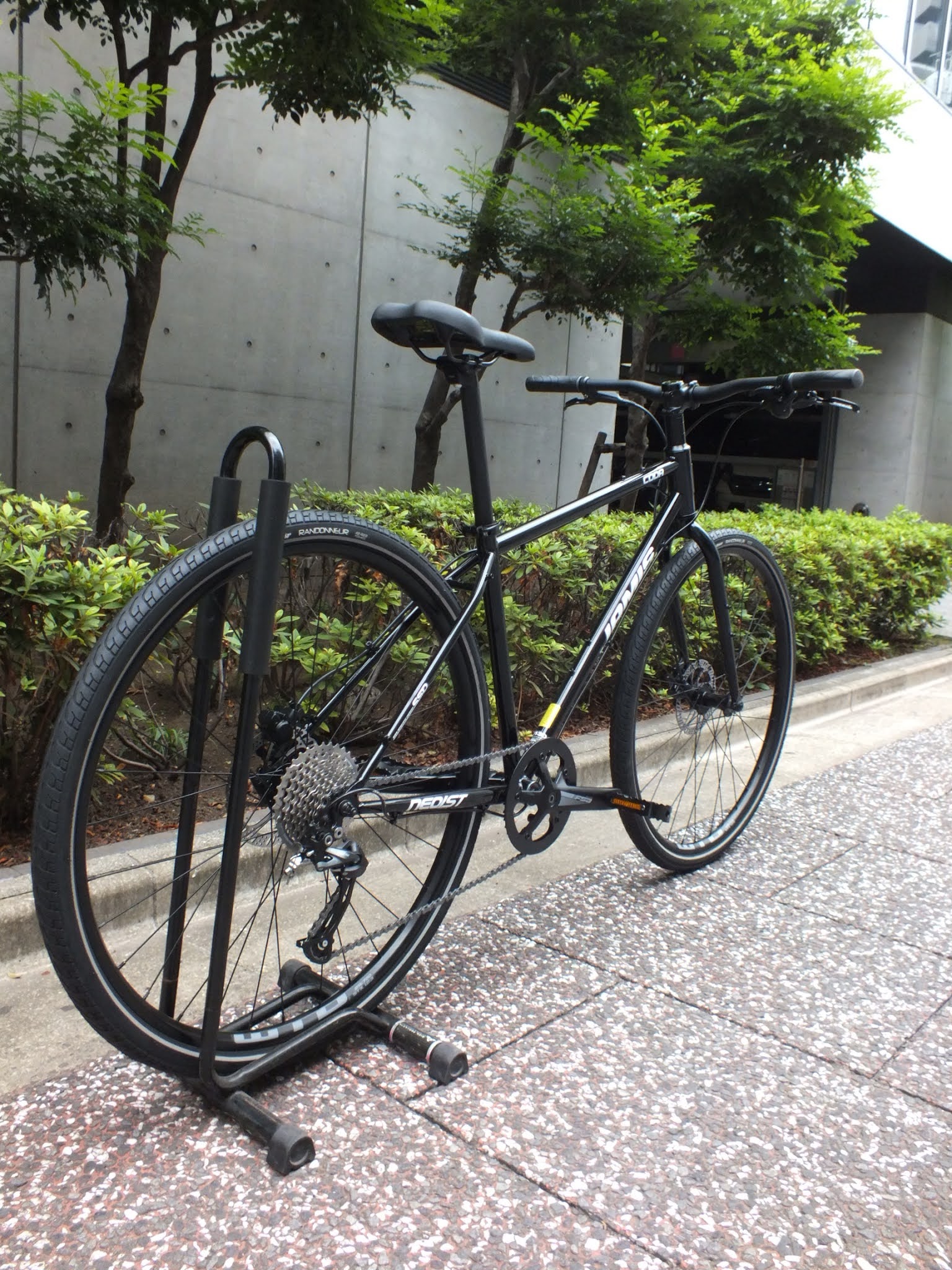 avelo Bicycle shop | アヴェロ バイシクル ショップ 浦和: JAMIS CODA