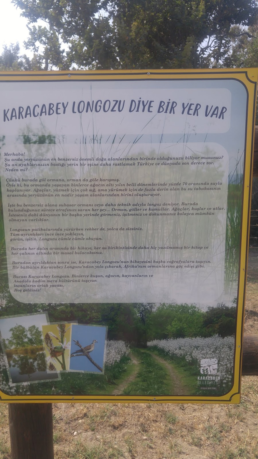 Sevdadan Karakalem Yazılar KARACABEY LONGOZ GEZİMİZ