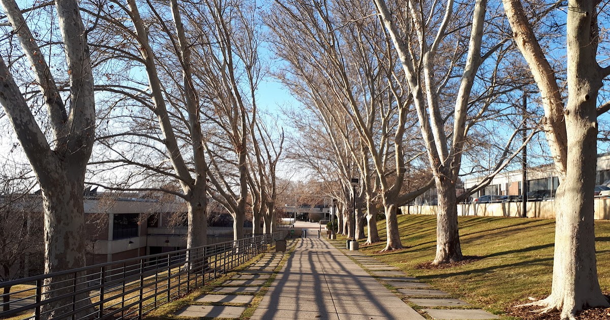 Every Day is a Journey ProvoOrem A new experience airbnb