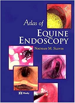 Atlas of Equine Endoscopy 1st Edition