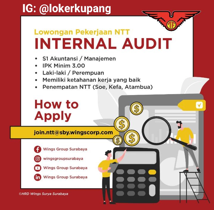Lowongan Kerja Wings Group Sebagai Internal Audit - TERKREATIF!